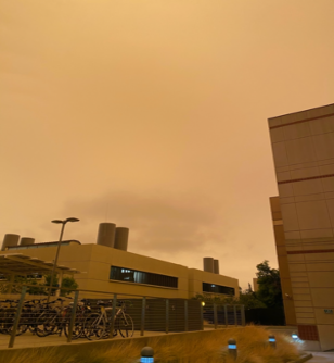 Wildfires